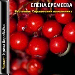 Еремеева Елена - Справочник школьника