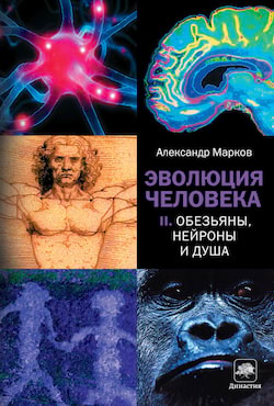 Марков Александр - Обезьяны, нейроны и душа