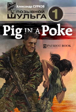 Сурков Александр - Pig In A Poke